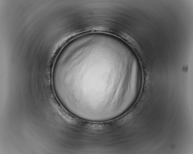 X0000113011027200909171424