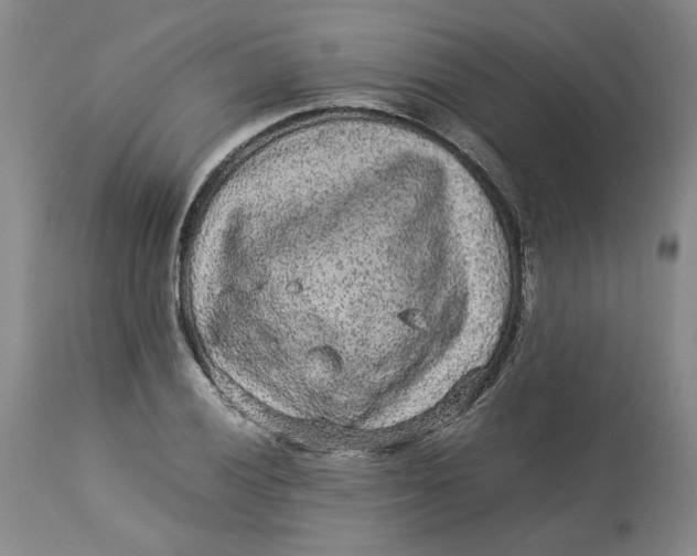 X0000113011028200909171424