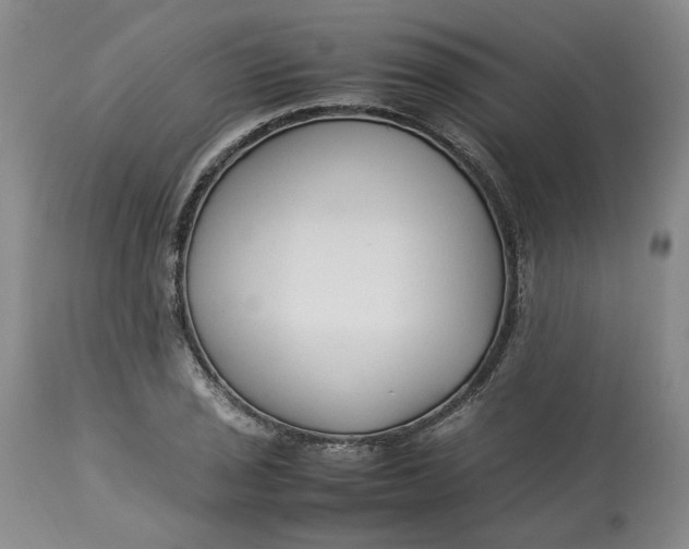 X0000113011029200909171424