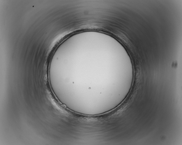 X0000113011030200909171424