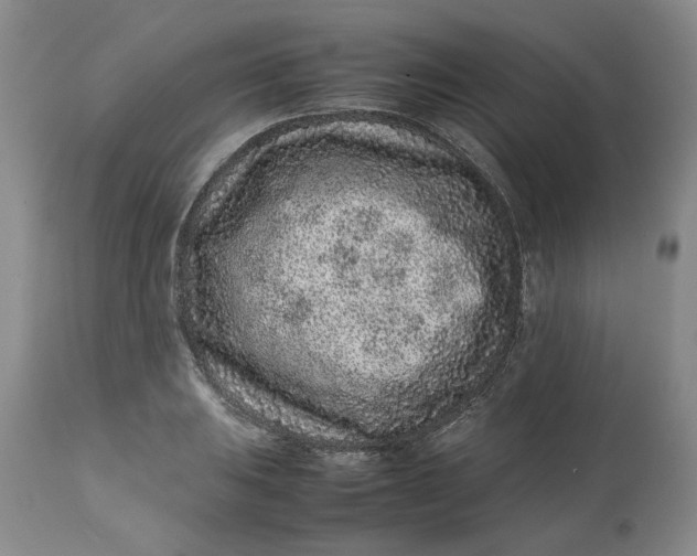 X0000113011031200909171424