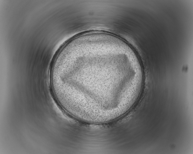 X0000113011032200909171424