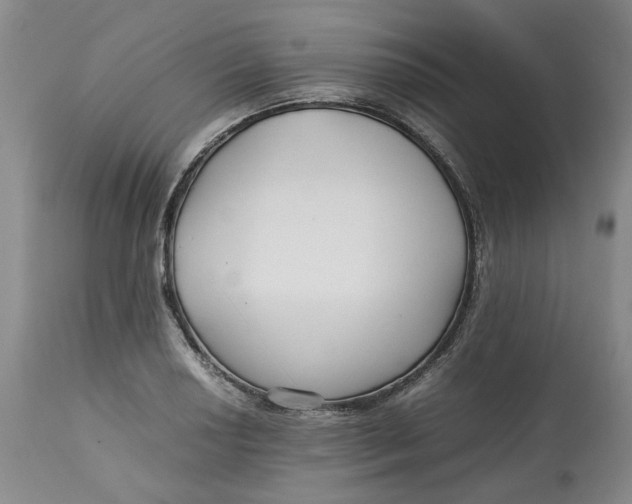 X0000113011034200909171424