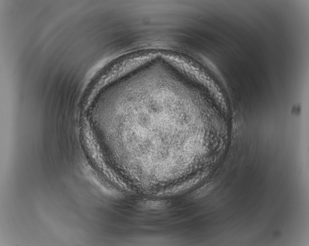 X0000113011035200909171425