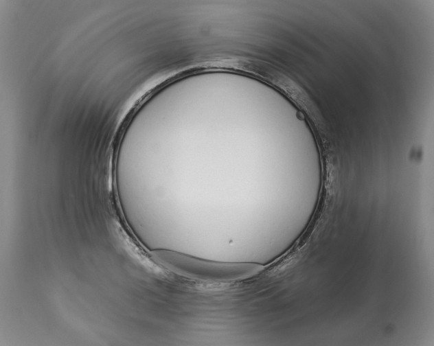 X0000113011036200909171425