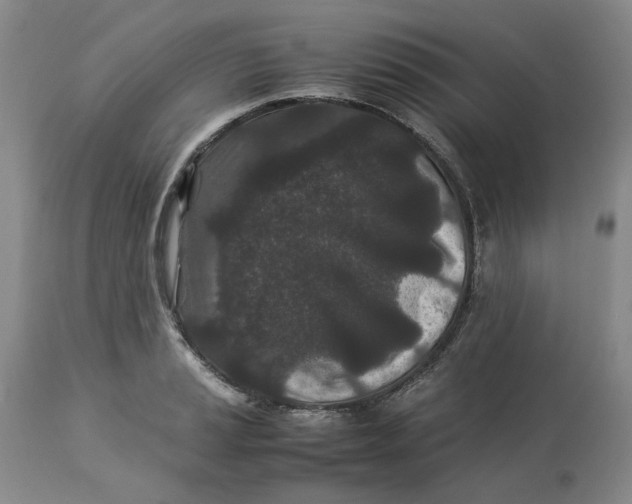 X0000113011037200909171425