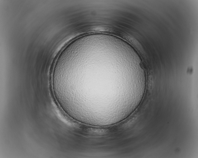 X0000113011039200909171425