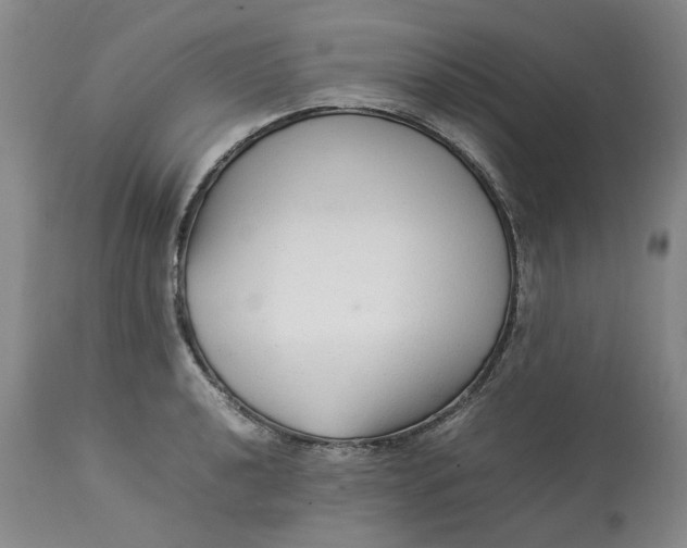 X0000113011040200909171425