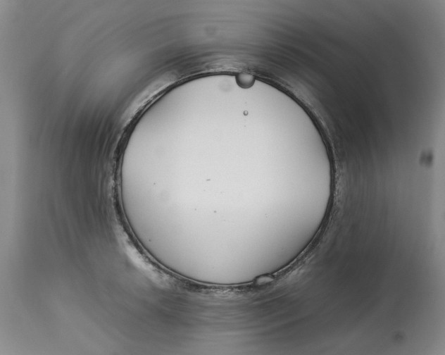 X0000113011042200909171425