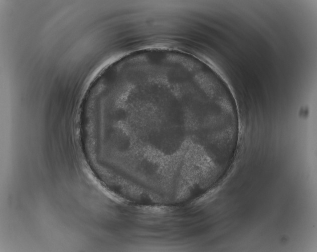 X0000113011045200909171425