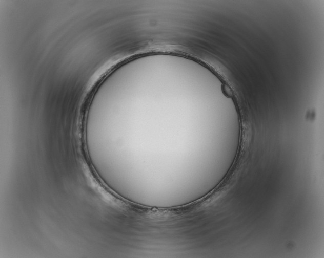 X0000113011046200909171425