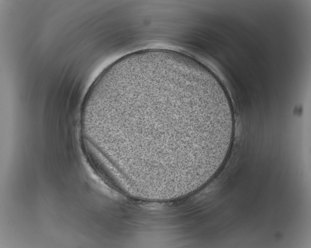 X0000113011048200909171425