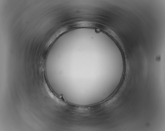 X0000113011049200909171425