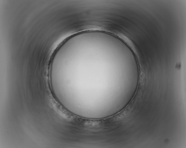 X0000113011051200909171425