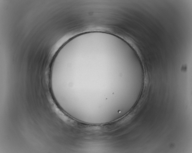 X0000113011054200909171425