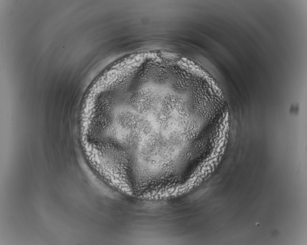 X0000113011055200909171425