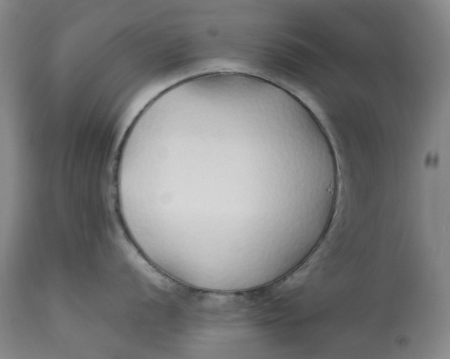 X0000113011056200909171425