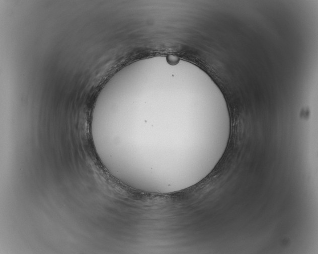 X0000113011058200909171424