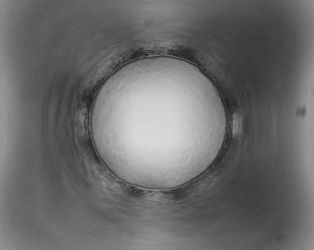 X0000113011059200909171424