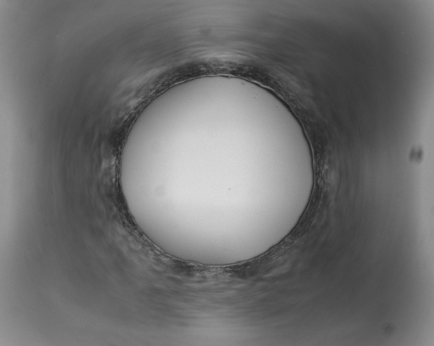 X0000113011061200909171424