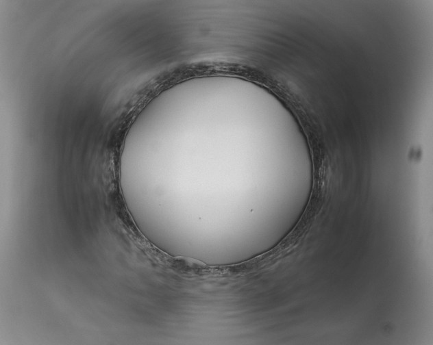 X0000113011062200909171424