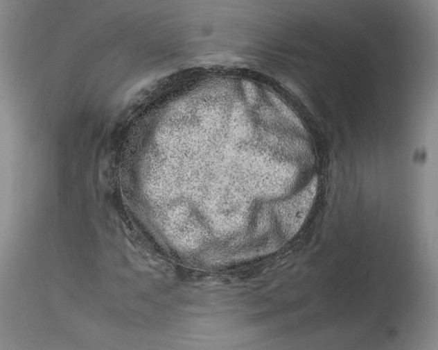 X0000113011063200909171424