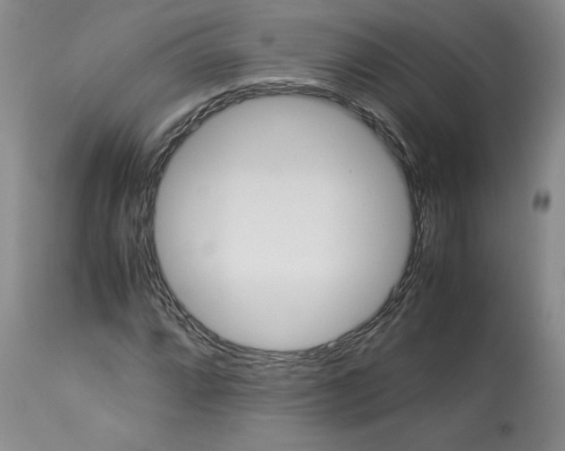 X0000113011064200909171424