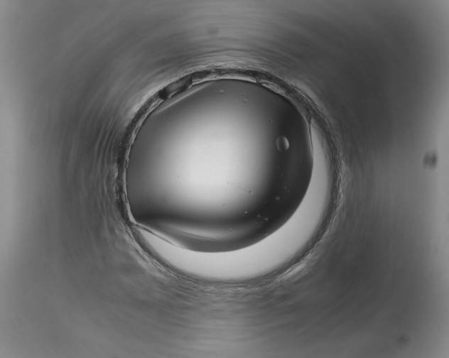 X0000113011065200909171424