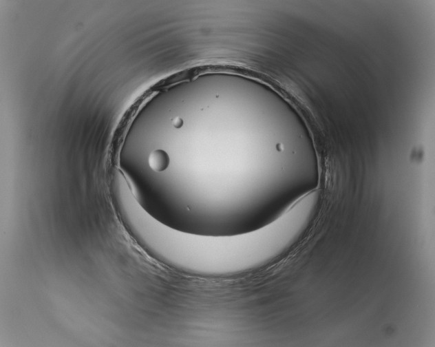 X0000113011068200909171424