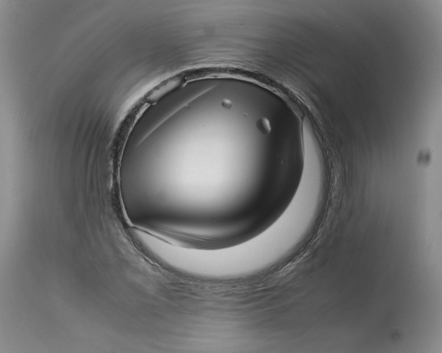 X0000113011069200909171424