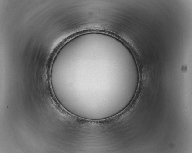 X0000113011070200909171424