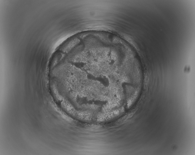 X0000113011071200909171424