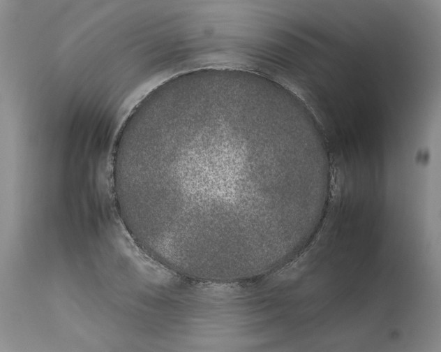 X0000113011074200909171424