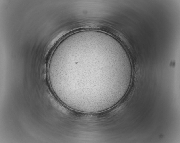 X0000113011075200909171424