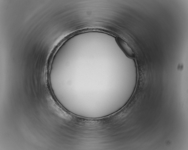 X0000113011076200909171424