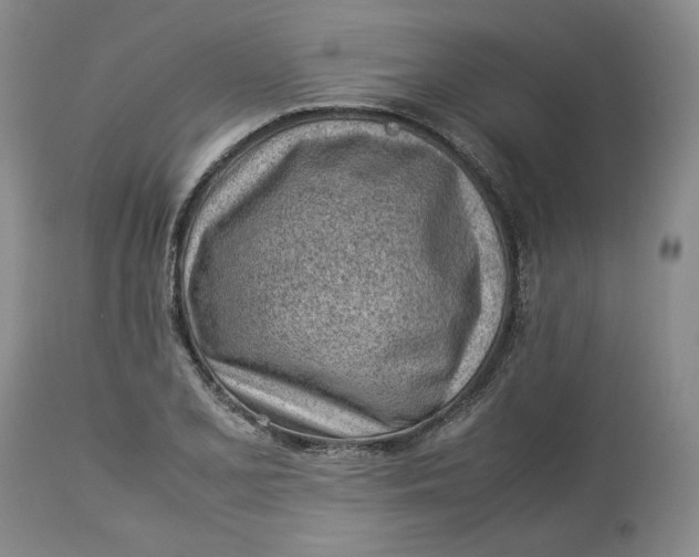 X0000113011077200909171424