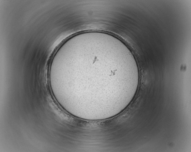 X0000113011078200909171424