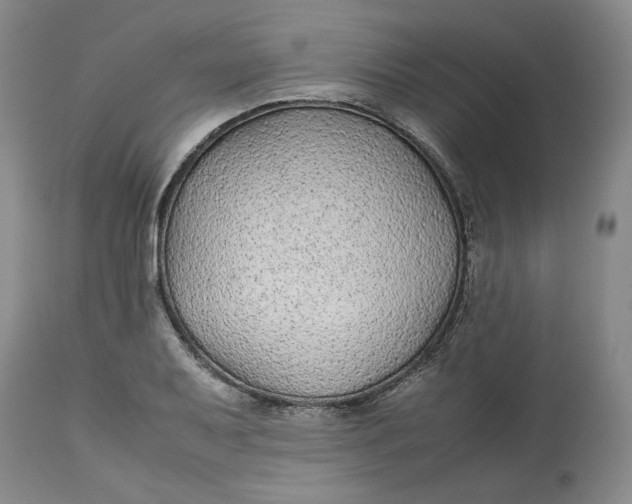 X0000113011079200909171424