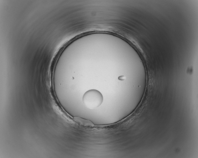 X0000113011080200909171424