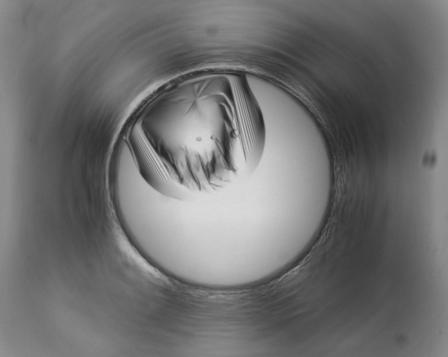 X0000113011084200909171424