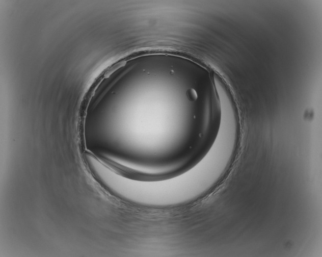 X0000113011085200909171424