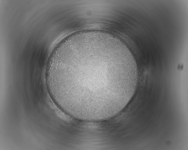 X0000113011086200909171424