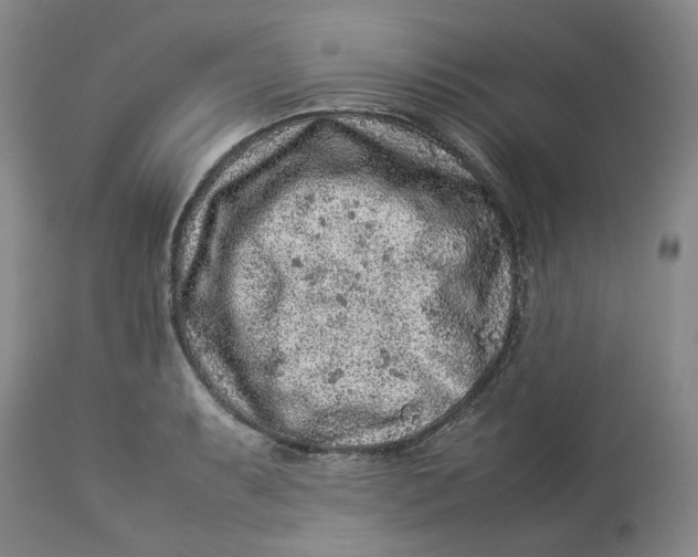 X0000113011087200909171424