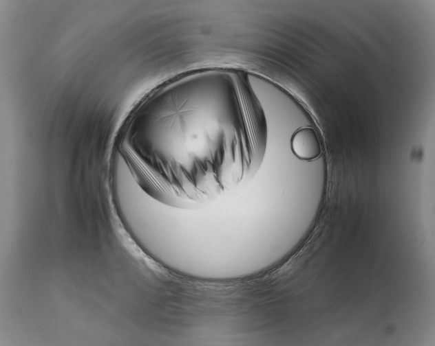 X0000113011088200909171424