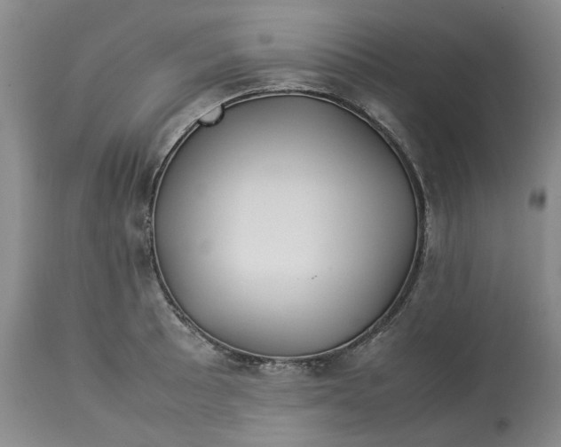 X0000113011089200909171424