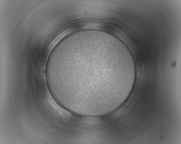 X0000113011090200909171424