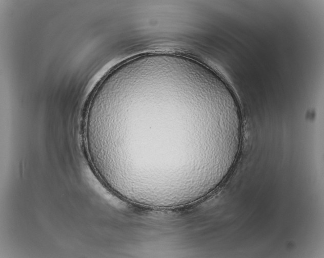 X0000113011091200909171424