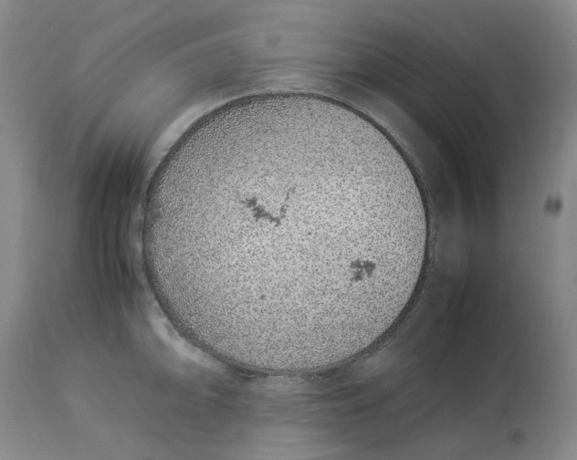 X0000113011094200909171424