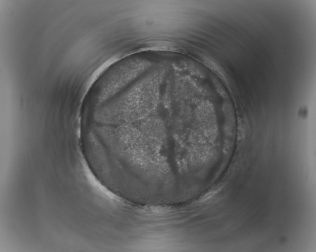 X0000113011095200909171424