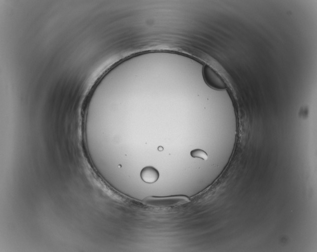 X0000113011096200909171424